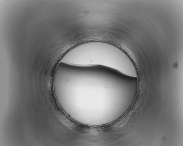 X0000091220305200708091143