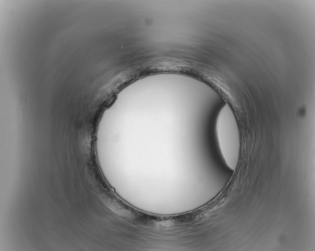 X0000091220309200708091143