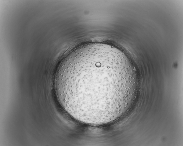 X0000091220311200708091143