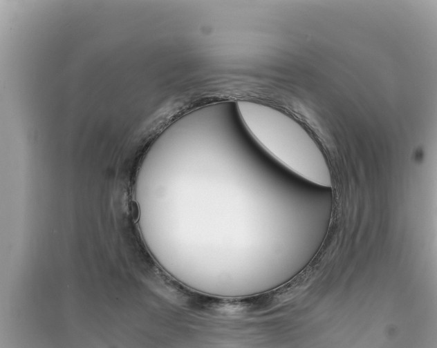 X0000091220313200708091143