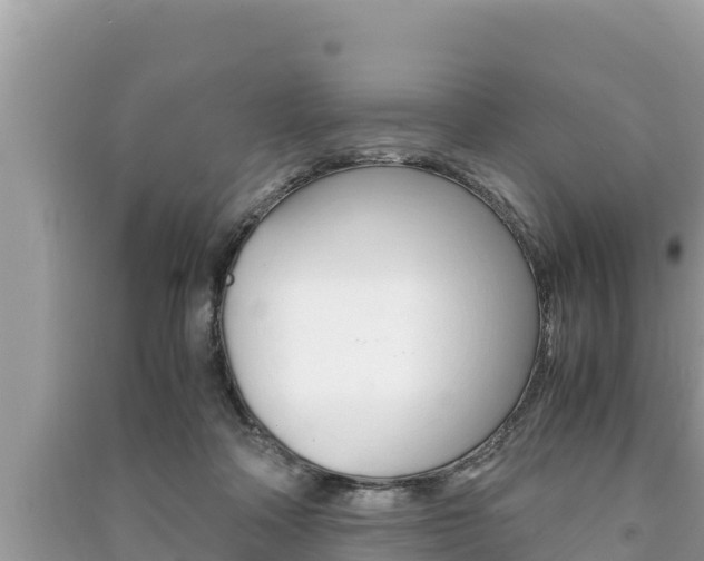 X0000091220314200708091143