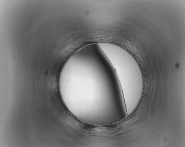 X0000091220317200708091143