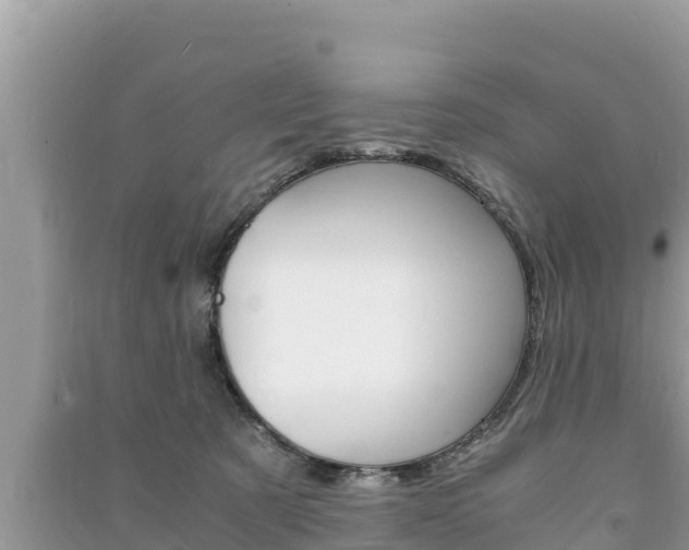X0000091220321200708091143