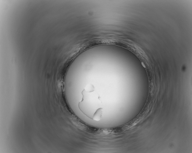 X0000091220329200708091143