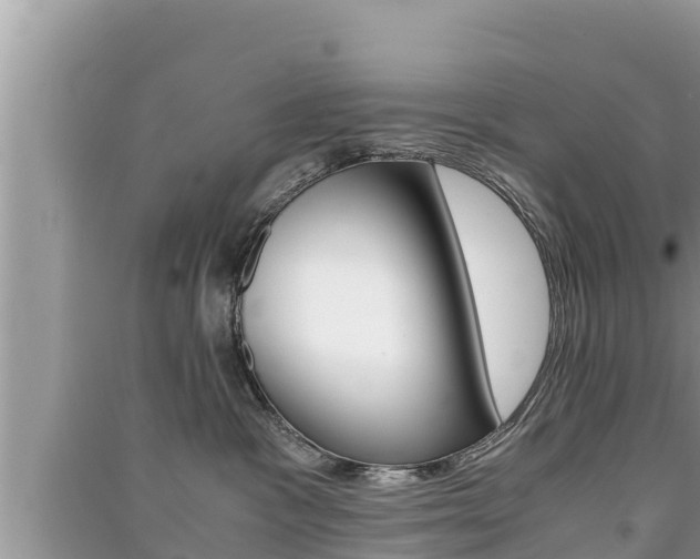 X0000091220333200708091142