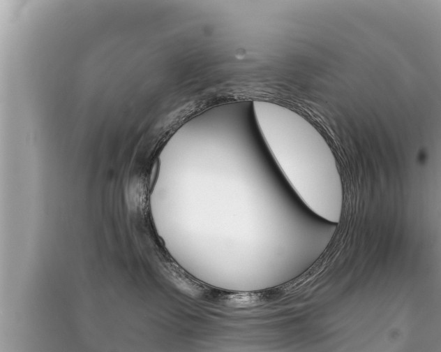 X0000091220335200708091142