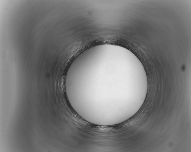 X0000091220336200708091142