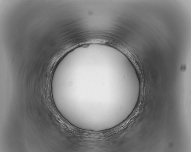 X0000091220337200708091142