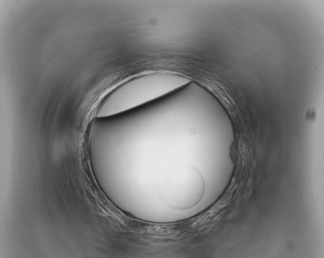 X0000091220338200708091142