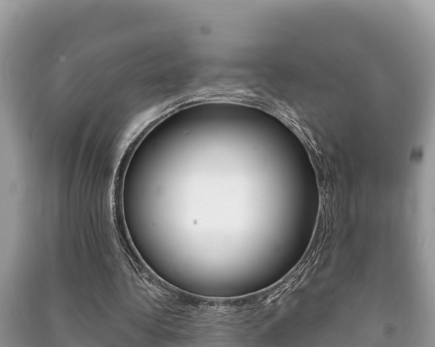 X0000091220340200708091142