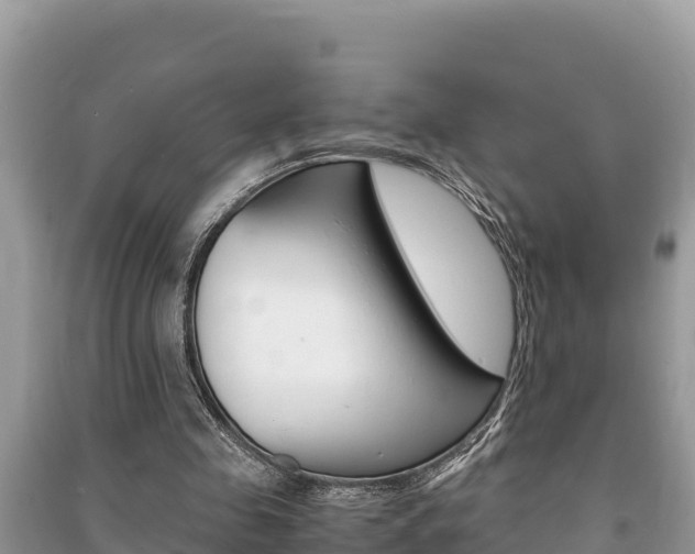 X0000091220341200708091142