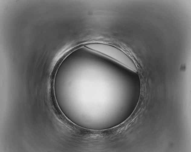 X0000091220344200708091142