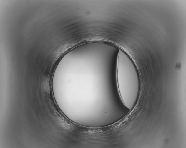 X0000091220345200708091142