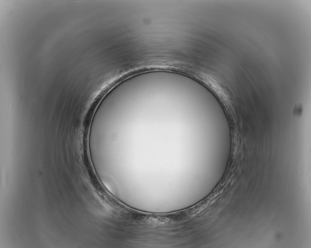 X0000091220346200708091142