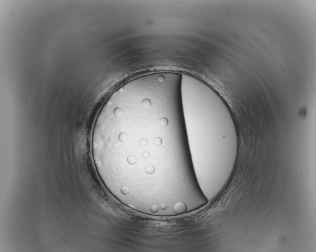 X0000091220347200708091142