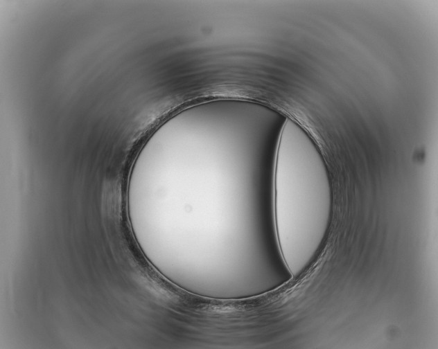 X0000091220349200708091142