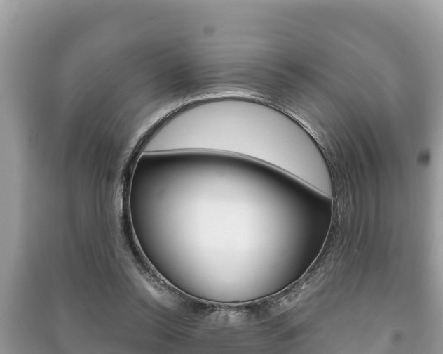 X0000091220350200708091142