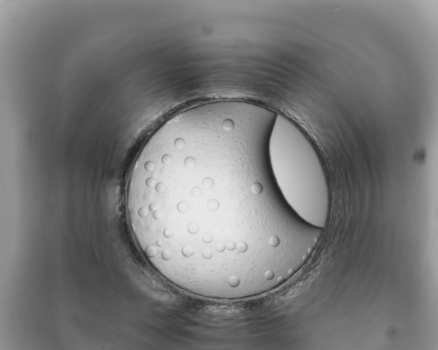 X0000091220351200708091142