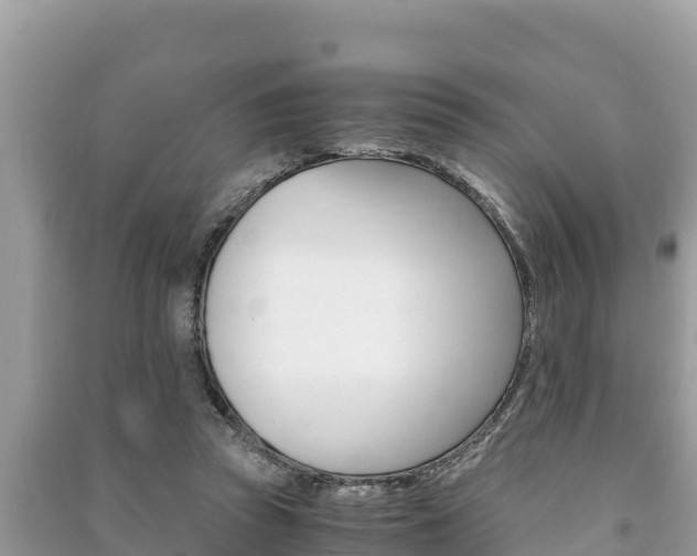 X0000091220353200708091142