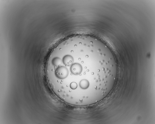 X0000091220354200708091142