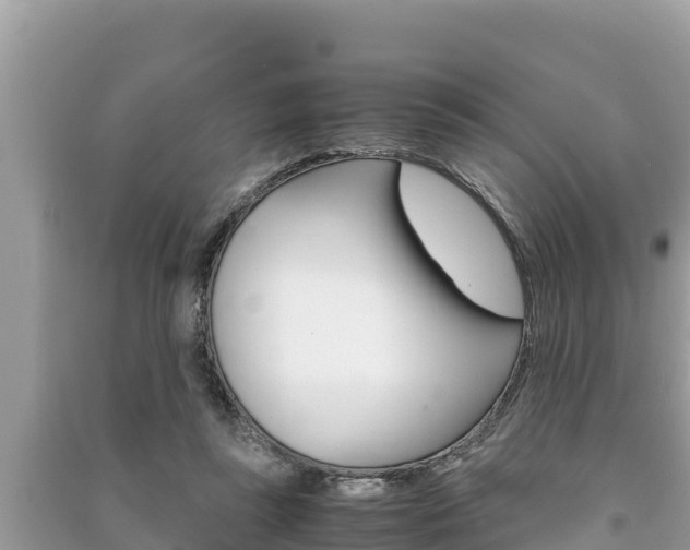 X0000091220355200708091142