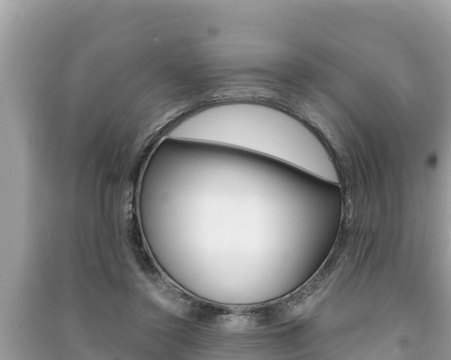 X0000091220356200708091142