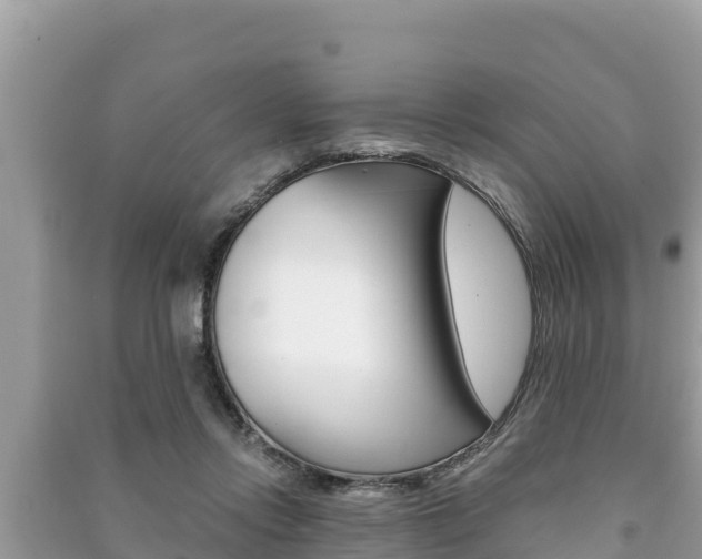 X0000091220358200708091142