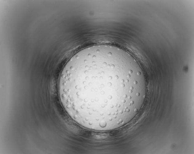 X0000091220359200708091142