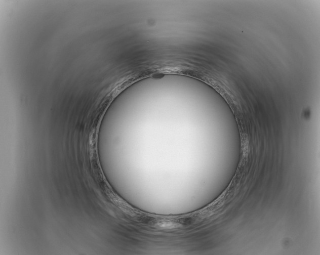 X0000091220360200708091142