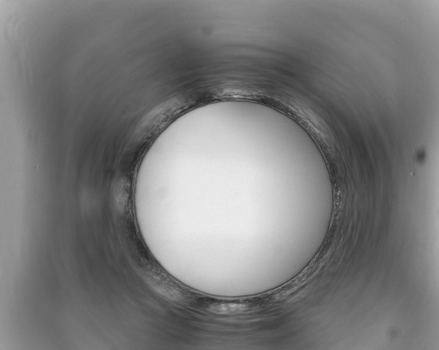 X0000091220361200708091142