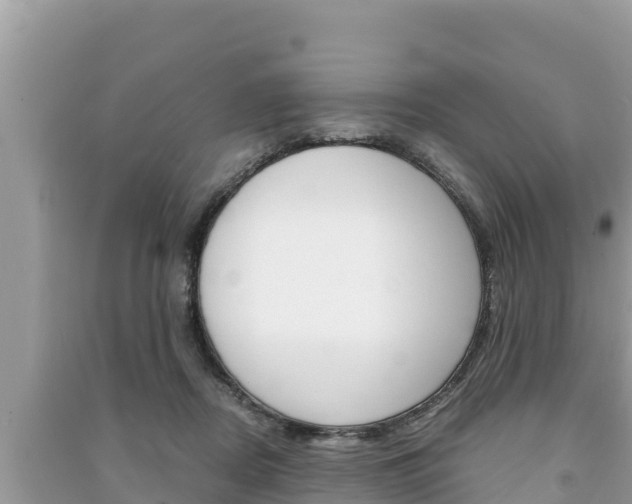 X0000091220362200708091142