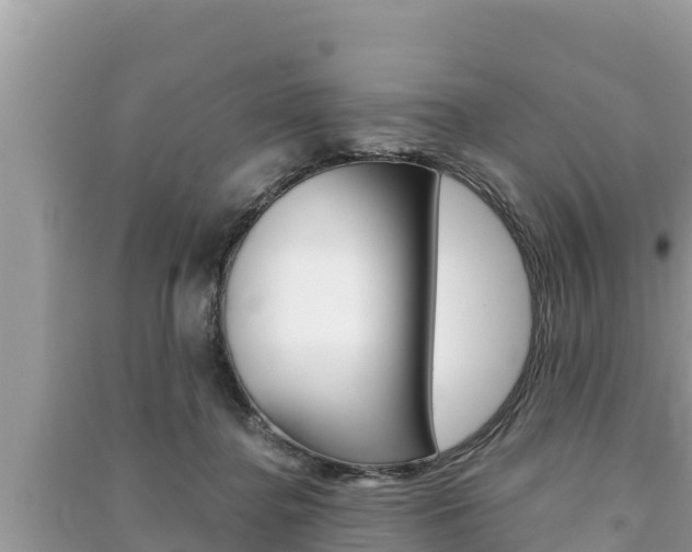 X0000091220364200708091142