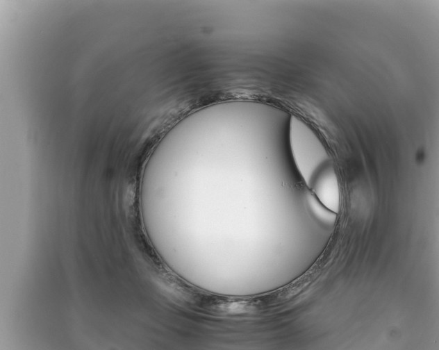 X0000091220365200708091142