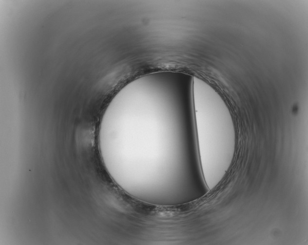 X0000091220368200708091142