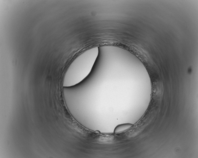X0000091220369200708091142
