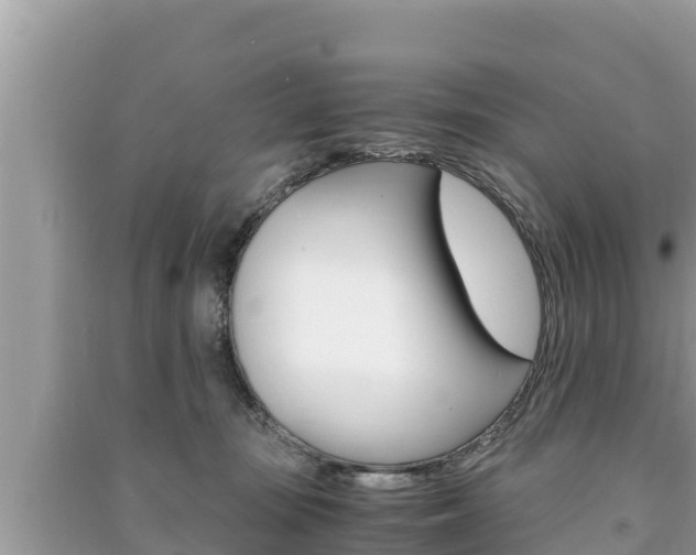 X0000091220371200708091142