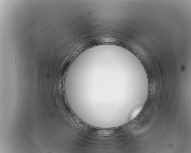 X0000091220373200708091142