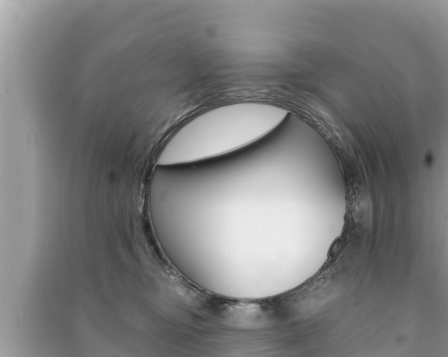 X0000091220374200708091142