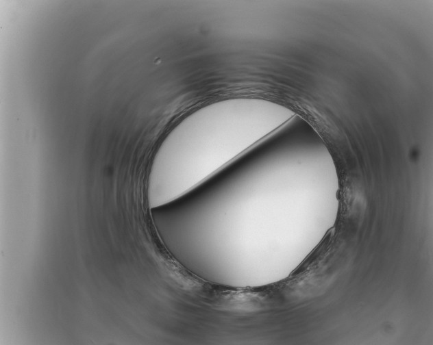 X0000091220379200708091142