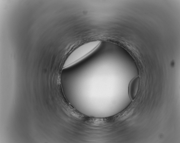 X0000091220384200708091142