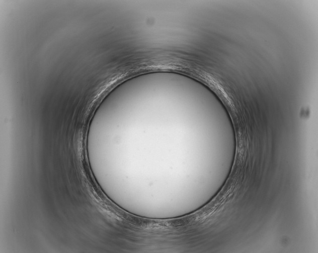 X0000091220386200708091142