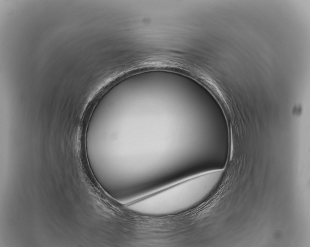 X0000091220387200708091142