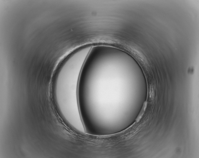 X0000091220388200708091142