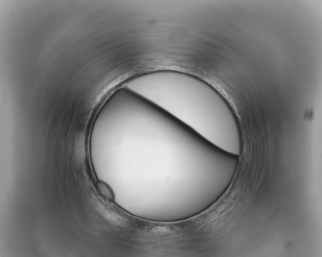 X0000091220390200708091142