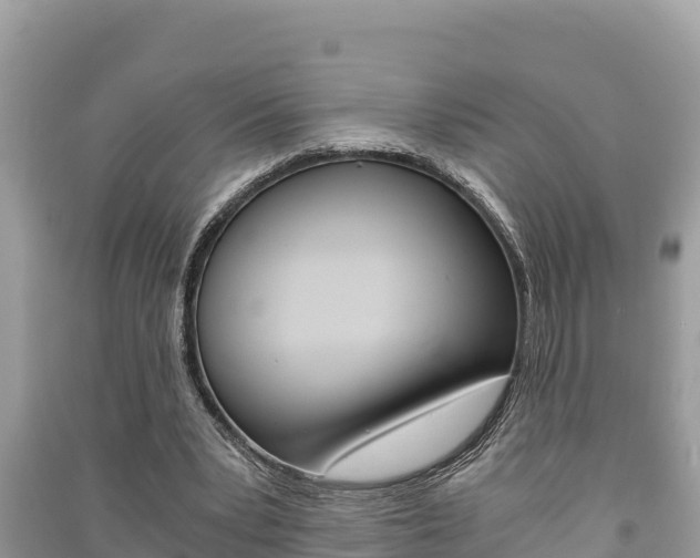 X0000091220391200708091142