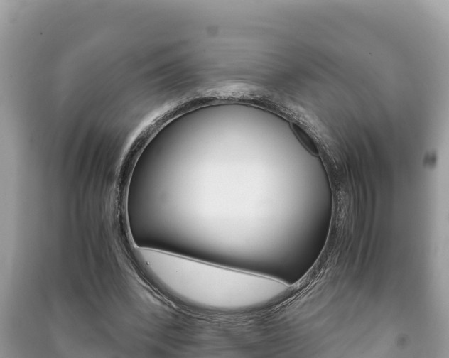 X0000091220392200708091142