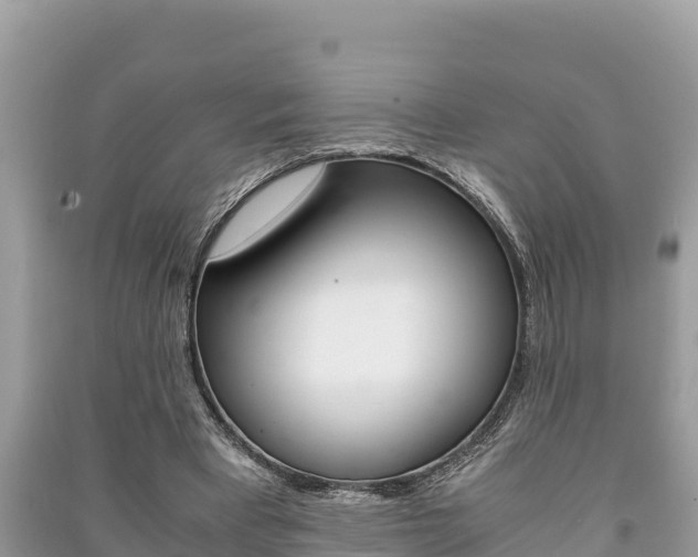 X0000091220393200708091142