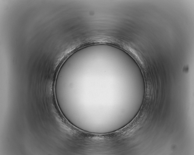 X0000091220394200708091142