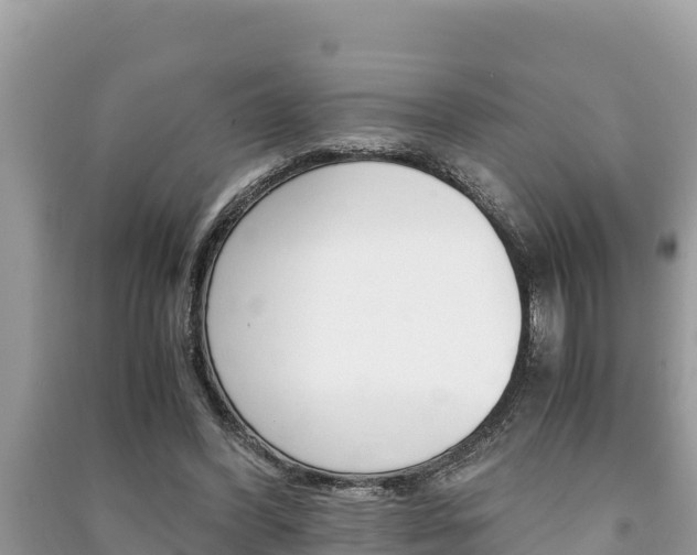 X0000091220396200708091142