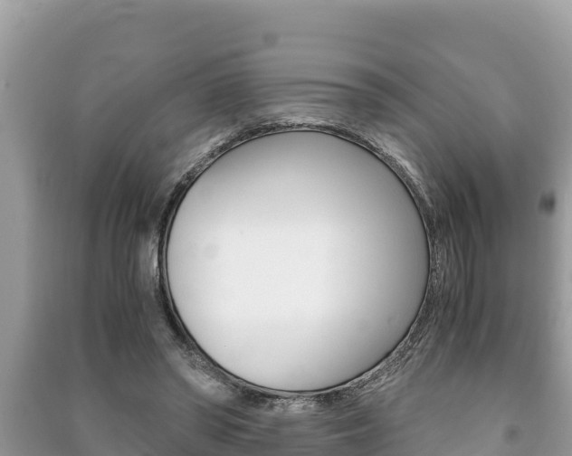 X0000091220398200708091142